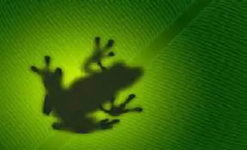 The Frog Saladan.Koh Lanta