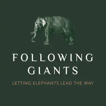 Following Giants